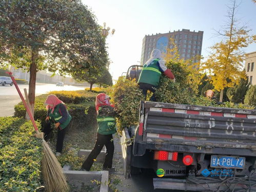 甘州區(qū)園林綠化中心秋季修剪與生活垃圾管理并行，提升城市環(huán)境品質(zhì)